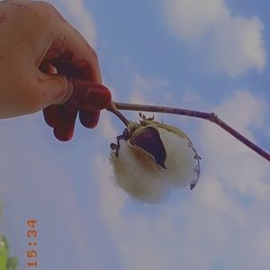 Meet your Posher, Misbah